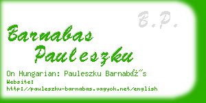 barnabas pauleszku business card